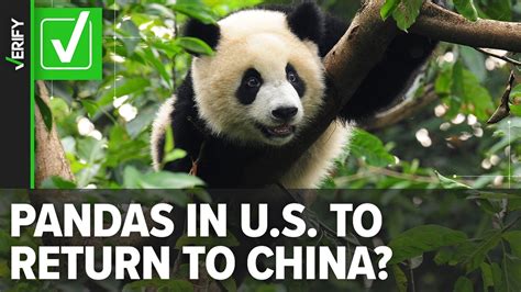 how many zoos are in china